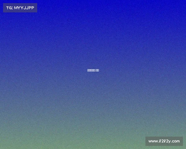 跆拳道比赛 儿童